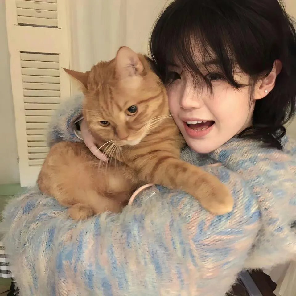 大侦探波洛第二季