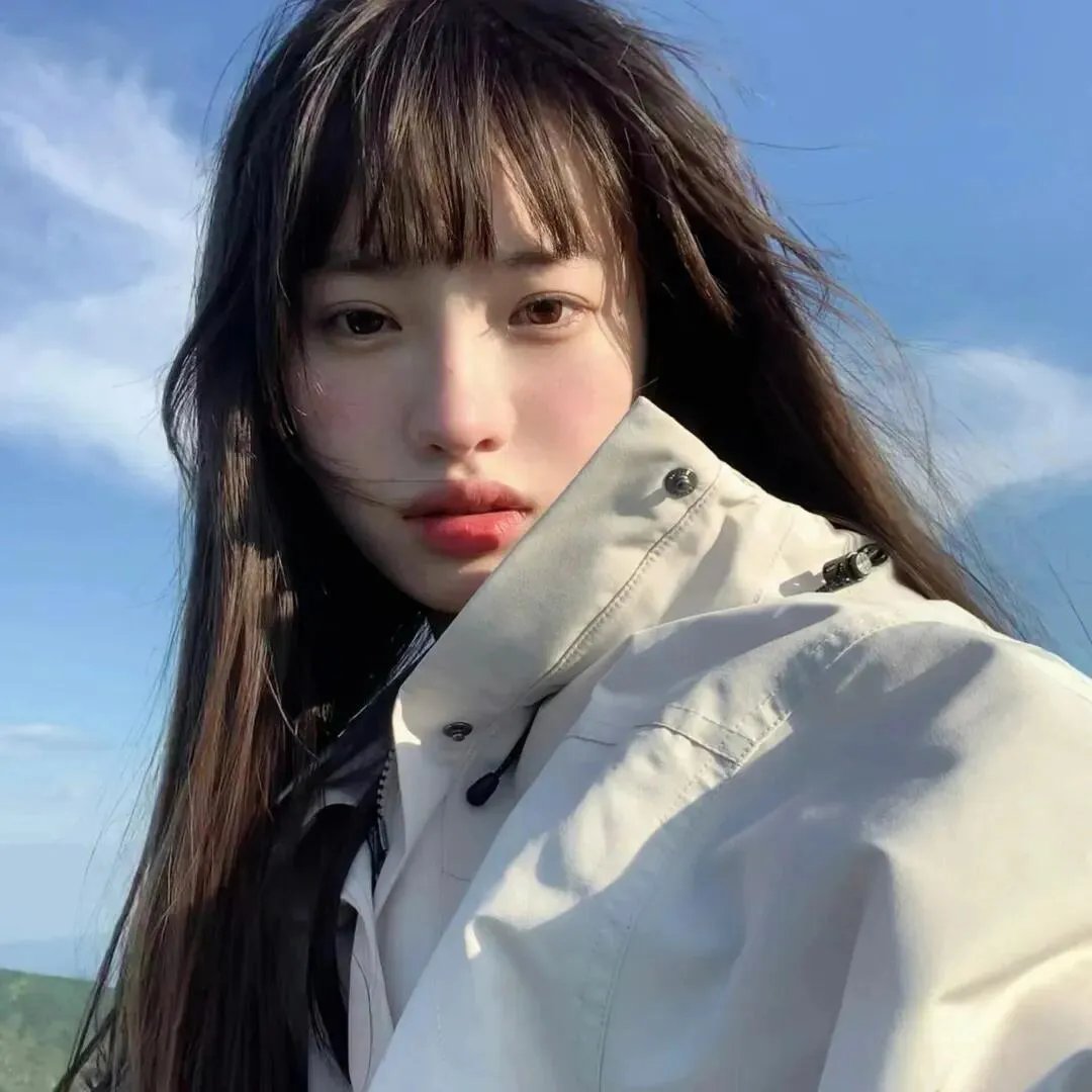 一只龟的进化史